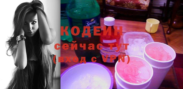 крисы Верхний Тагил