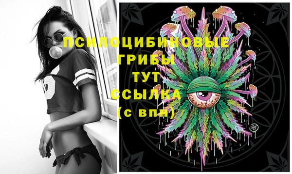 apvp Волоколамск