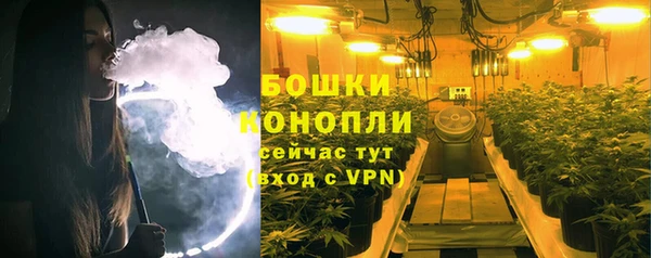 крисы Верхний Тагил
