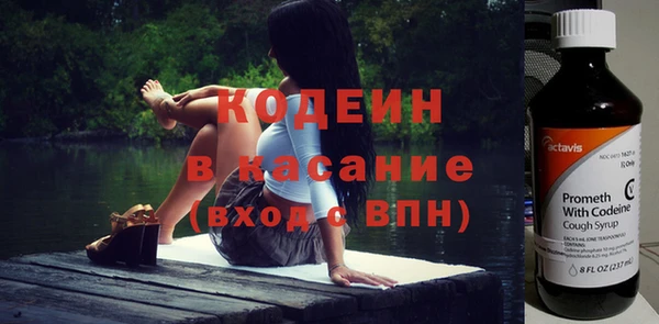 крисы Верхний Тагил