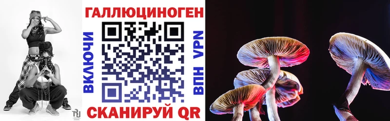 Галлюциногенные грибы Psilocybe  дарнет шоп  Дубна 