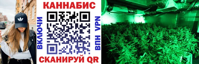 МАРИХУАНА OG Kush Дубна